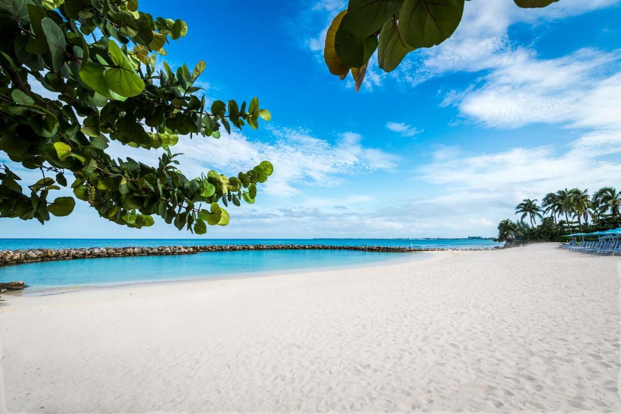 Margaritaville Beach Resort Grand Cayman George Town Zewnętrze zdjęcie